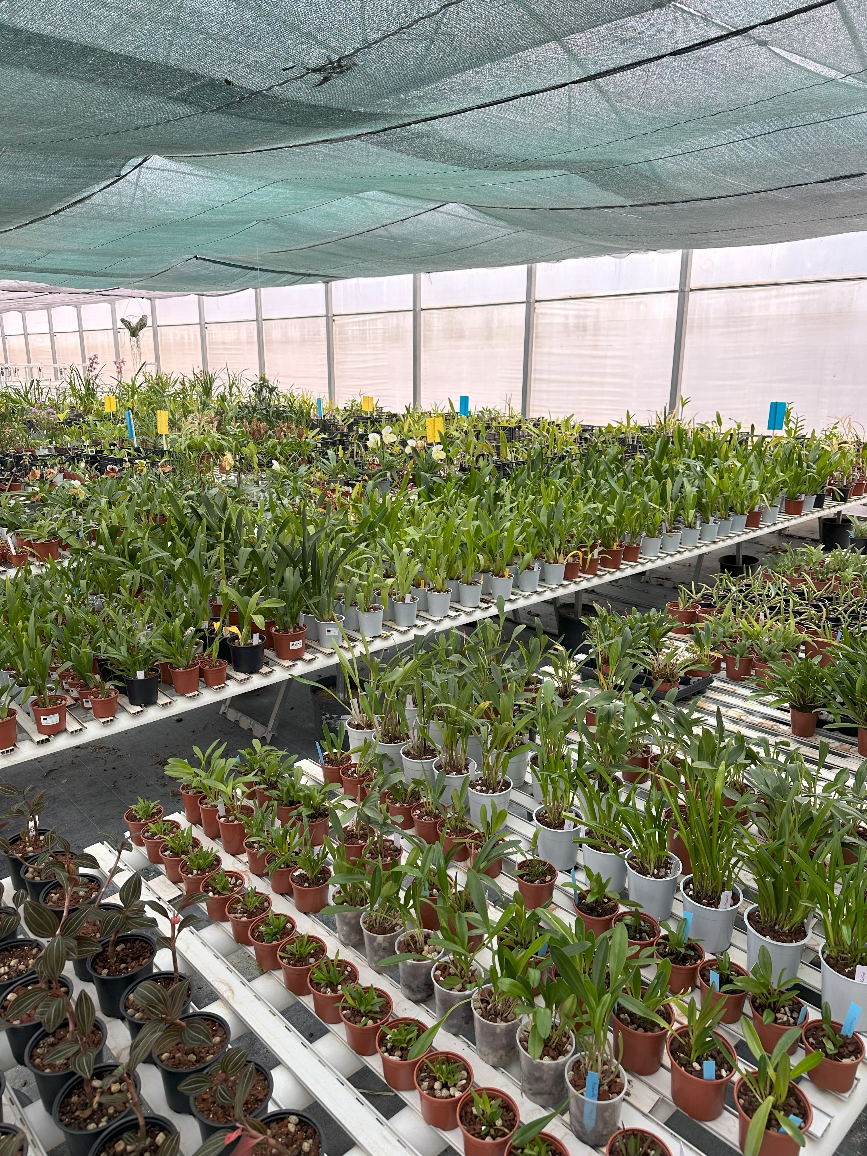 Imagem Plantas